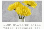 重阳民俗公众号排版素材推荐：古风样式与模板直接套用