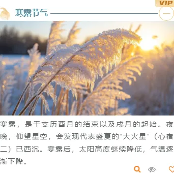 寒露习俗公众号排版素材推荐:5套模板+14款样式,轻松排出秋日氛围感 9 样式ID:118774 二十四节气寒露简约清新上下图文