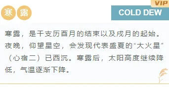 2026寒露节气公众号排版素材推荐:标题样式、正文模板一次配齐 4 样式ID:118775 二十四节气寒露简约清新底色内容