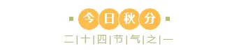 样式ID：133177 二十四节气秋分文艺橙色主副标题