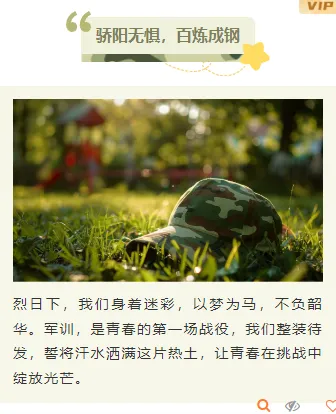 样式ID：146702 军训上下图文简约绿色样式