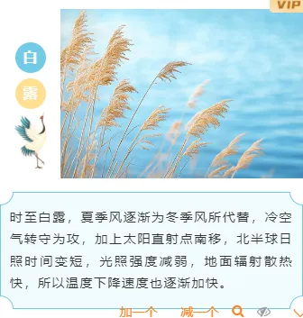 样式ID：147592 白露节气上下图文简约古风样式