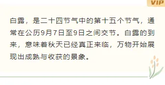 样式ID：147620 二十四节气白露底色内容文艺水彩样式