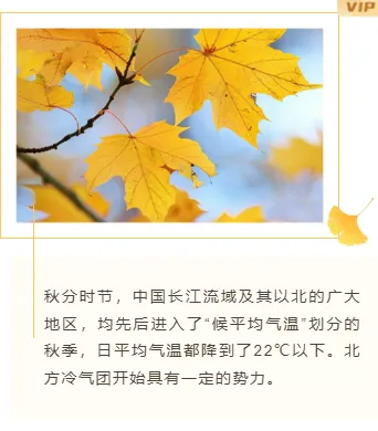 样式ID：148162 秋分节气上下图文简约清新样式