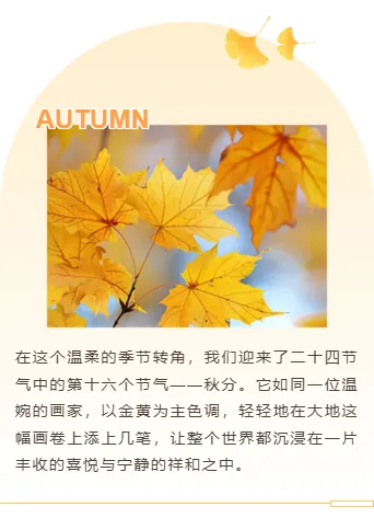 样式ID：148163 秋分节气上下图文简约清新样式