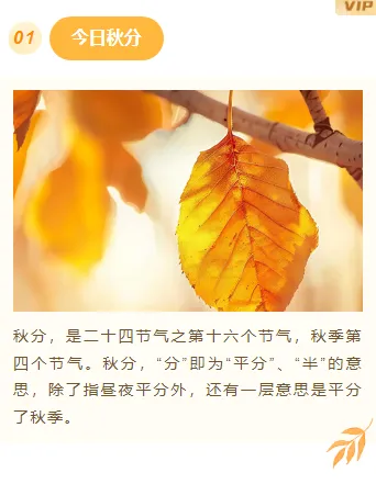 样式ID：148185 秋分节气上下图文文艺清新样式