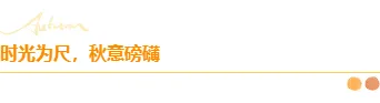样式ID：148194 秋分节气图片标题文艺清新样式