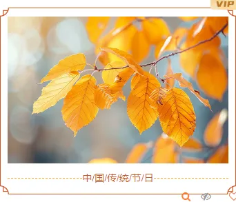 样式ID：148907 重阳节单图古风红棕色样式
