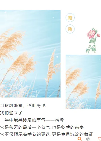 样式ID：149191 二十四节气霜降上下图文插画蓝色样式