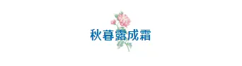 2026霜降节气公众号排版素材推荐|样式模板免费获取 5 样式ID:149211 二十四节气霜降图片标题插画蓝色样式