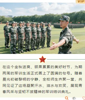 样式ID：162926 军训上下图文简约绿色样式