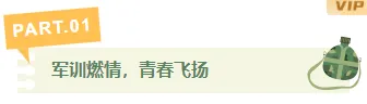 样式ID：162933 军训编号标题简约绿色样式