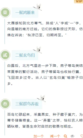 运营必看|2026白露养生公众号排版节气推文排版全攻略 4 样式ID:163576 白露节气段落正文简约清新绿色样式