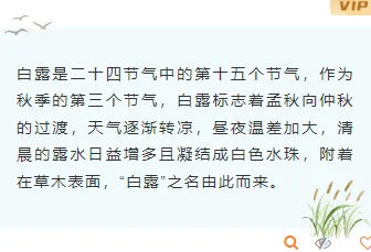 样式ID：163580 白露节气底色内容简约清新绿色样式