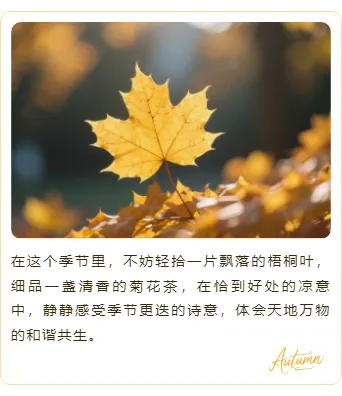 样式ID：164223 秋分二十四节气上下图文简约黄色样式