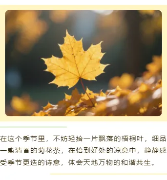 样式ID：164225 秋分二十四节气上下图文简约黄色样式