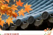 2026秋分节气公众号排版素材推荐｜样式模板免费获取
