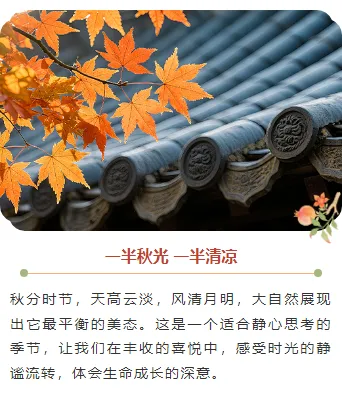 秋分食补公众号排版素材推荐:贴秋膘菜单样式+模板一键套用 10 样式ID:164254 秋分节气上下图文古风橙色黄色样式