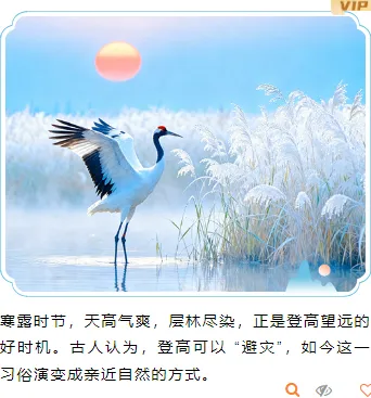 寒露习俗公众号排版素材推荐:5套模板+14款样式,轻松排出秋日氛围感 12 样式ID:164882 寒露节气上下图文古风蓝色样式