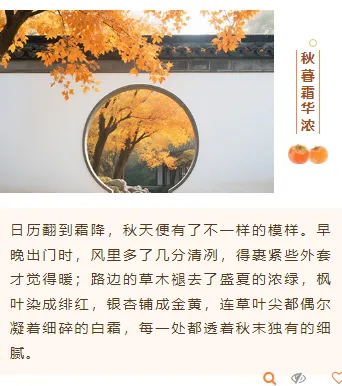 2026霜降节气公众号排版素材推荐|样式模板免费获取 17 样式ID:165265 二十四节气霜降上下图文简约橙色样式