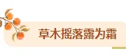 霜降幼儿园食育公众号排版怎么做？时令果蔬食谱与模板素材推荐
