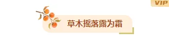霜降幼儿园食育公众号排版怎么做?时令果蔬食谱与模板素材推荐 4 样式ID:165274 二十四节气霜降图片标题简约橙色样式