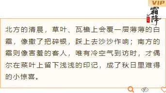 2026霜降节气公众号排版素材推荐|样式模板免费获取 10 样式ID:165298 霜降节气边框内容古风橙色样式