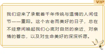 样式ID：165442 九月九重阳节边框内容简约红棕色样式