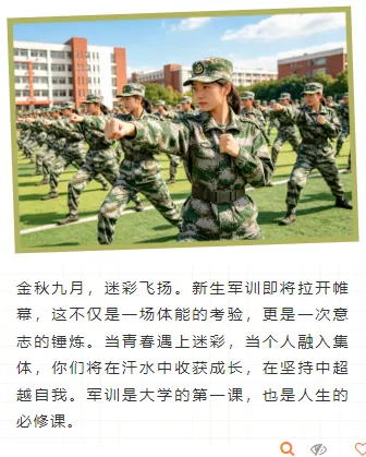 样式ID：176371 军训上下图文迷彩风绿色样式