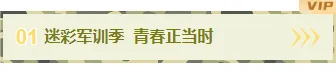 样式ID：176378 军训编号标题迷彩风绿色样式