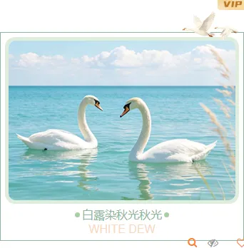 运营必看|2026白露养生公众号排版节气推文排版全攻略 11 样式ID:176923 白露节气单图清新国风绿色棕色样式