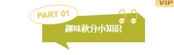 样式ID：177680 秋分编号标题文艺黄色绿色样式