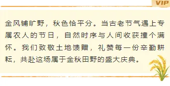 样式ID：177715 秋分丰收节底色内容简约橙色黄色样式