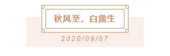 样式ID：99787 粉色文艺清新二十四节气白露标题