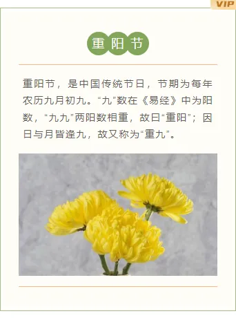 样式ID：106543 九九重阳节传统节日中国风上下图文