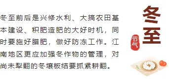 冬至公众号推文排版怎么做?5 组样式+5 套模板直接套用 5 样式ID:108059 中国风简约二十四节气冬至怀旧左右正文