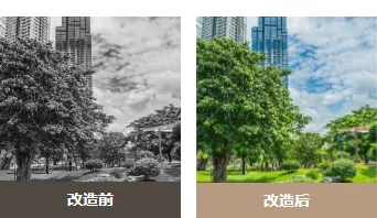 物业公众号排版怎么做?样式推荐+模板套用全攻略 11 样式ID:118649 物业服务极简通用双图