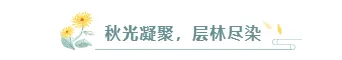 2026寒露校园公众号排版素材推荐|样式模板一键套用 5 样式ID:133718 寒露节气清新绿色简约图片标题