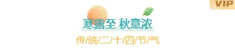 寒露养生公众号排版样式推荐,深秋科普这样排不显说教 5 样式ID:148869 寒露节气主副标题水彩绿色样式