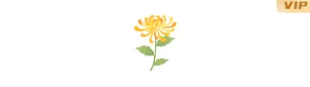 重阳节公众号模板在哪找?这份可套用的排版素材指南请收好 2 样式ID:148925 重阳节菊花小图标古风红棕色样式