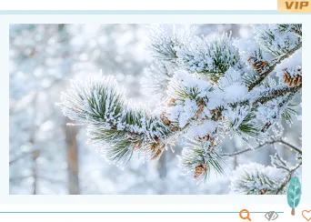 大雪公众号推文公众号排版怎么做?15个雪景样式素材与4套模板直接套用 14 样式ID:151971 大雪节气单图简约清新绿色样式