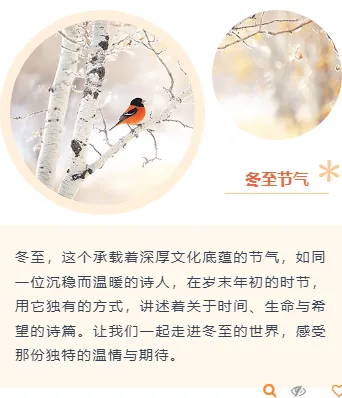 冬至公众号推文排版怎么做?5 组样式+5 套模板直接套用 8 样式ID:152782 二十四节气冬至上下图文简约橙色样式