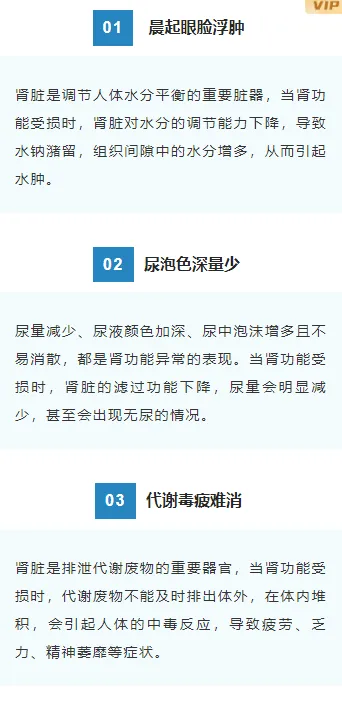 医院公众号模板在哪找?7类样式素材与5套模板直接套用 10 样式ID:162701 医疗肾脏内科段落正文简约蓝色样式