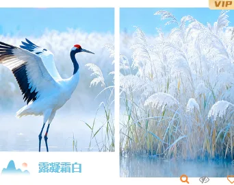 寒露养生公众号排版样式推荐,深秋科普这样排不显说教 11 样式ID:164874 寒露节气双图古风蓝色样式
