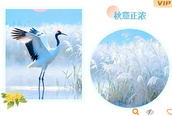 2026寒露校园公众号排版素材推荐|样式模板一键套用 13 样式ID:164877 寒露节气双图古风蓝色样式