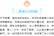 寒露养生公众号排版样式推荐，深秋科普这样排不显说教