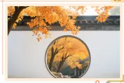 霜降公众号推文怎么写？公众号排版+模板+样式一键套用指南