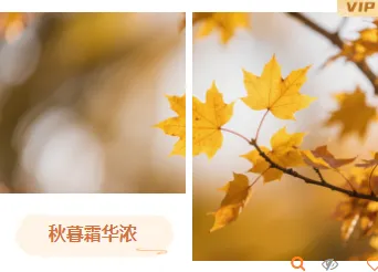 霜降公众号推文怎么写?公众号排版+模板+样式一键套用指南 10 样式ID:165289 霜降节气双图古风橙色样式