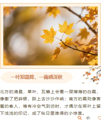 霜降公众号推文怎么写?公众号排版+模板+样式一键套用指南 12 样式ID:165293 霜降节气上下图文古风橙色样式