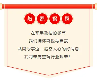 样式ID：166409 喜报表彰边框内容商务红色样式